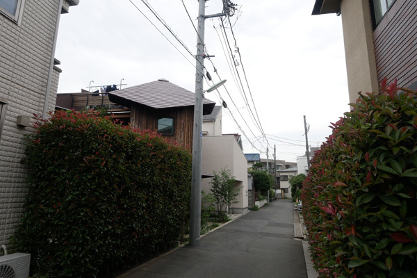 _1050165.JPG